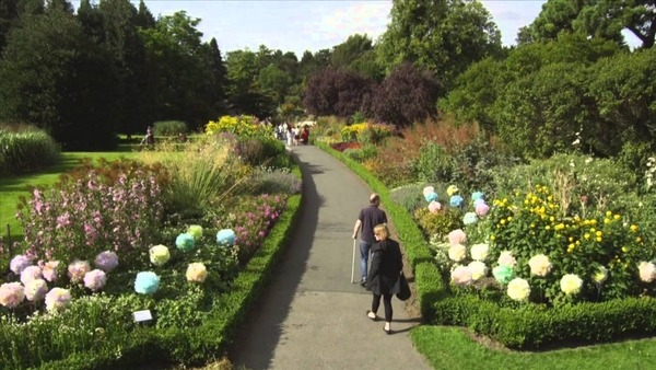 Gairdíní na Lus - a dander through the National Botanic Gardens