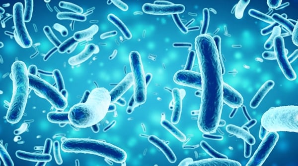 Why losing our microbes is making us sick