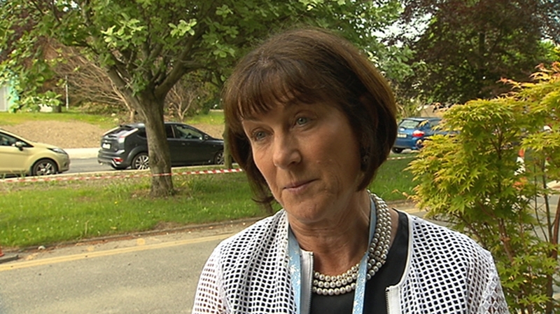 Professor Ann O'Doherty said she is concerned litigation costs will get so high they will threaten the BreastCheck programme