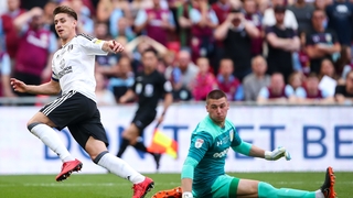 Tom Cairney scored the Fulham goal
