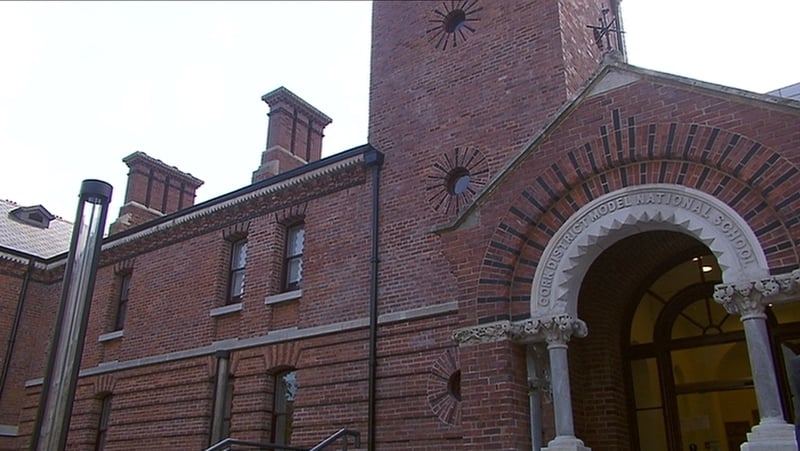 Brian Fitzgerald pleaded guilty at Cork Circuit Criminal Court to a number of offences