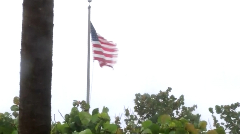 The men were reporting on a rainstorm when a tree fell on their SUV