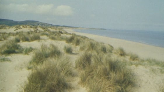 Beautiful Brittas Bay