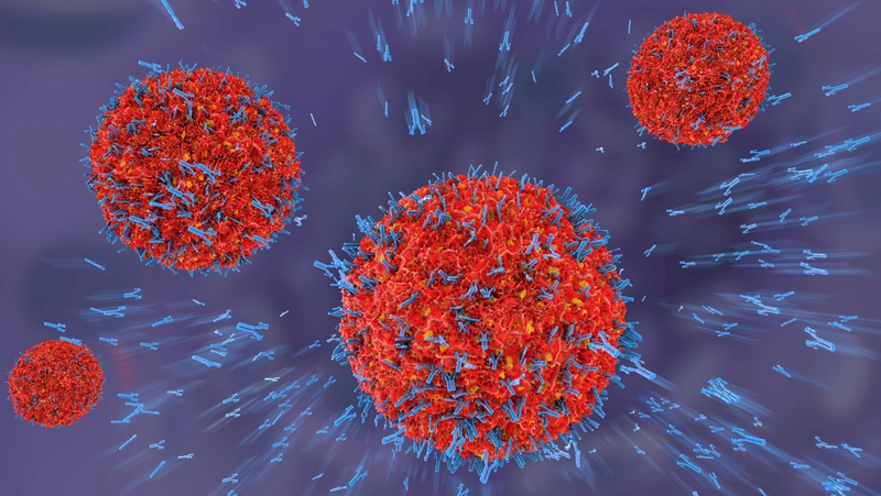 "Natural killer cells are named for their ability to kill intruders such as virus-infected cells or cells that display early signs of cance" Photo: iStock