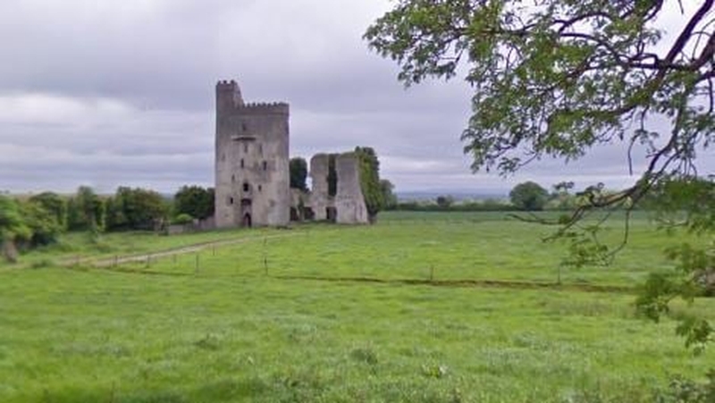 Ballyadams Castle in southeast Co Laois (Pic: Google Maps)