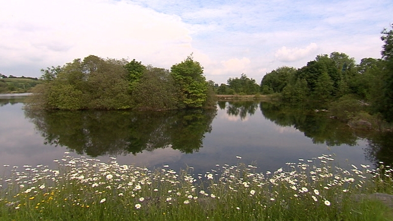 The teenagers got in to trouble at the quarry outside Ennis
