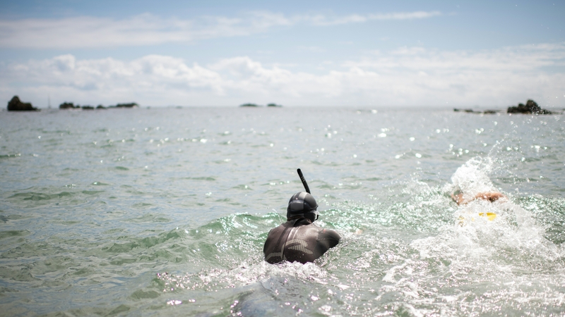 Ben Lecomte's plan is to swim for eight hours daily