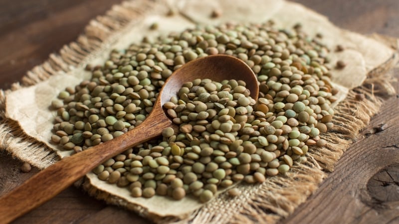 Puy Lentil Salad with Soy Beans, Sugar Snap Peas and Broccoli