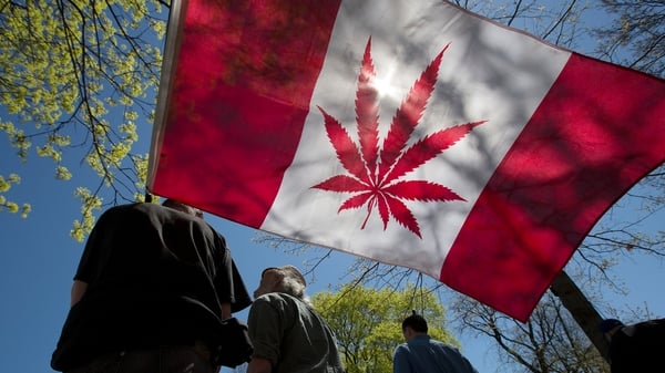 The upper chamber Senate voted 
56-30 in favour of the legislation
of marijuana