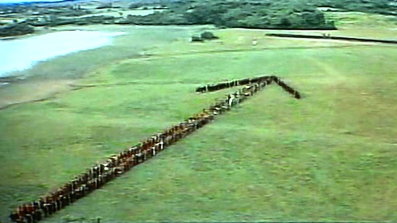 The film tells the story of the battle of Ashdown in 871 and the efforts to keep Danish invaders away from Wessex