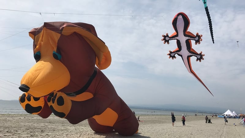 Over 18,000 people attended the event on Dollymount Strand