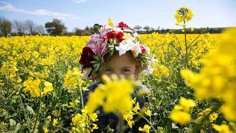 13 Things to do this weekend