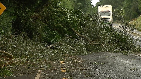 People are advised not to go near fallen trees due to potentially live power lines in the area