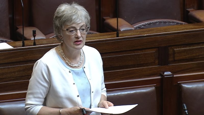 Katherine Zappone told the Dáil that people were 'lied to and denied information about their true identity'