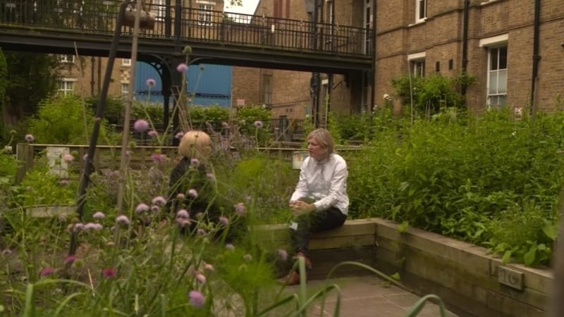 'Even exploring the possibility that one has been affected can improve people's chances to heal'