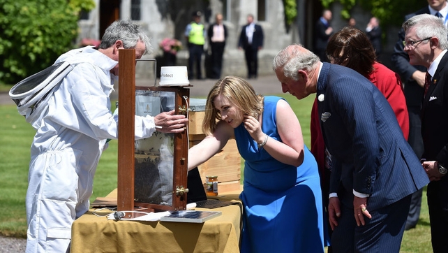 Prince Charles is shown a bee-keeping demonstration by Fiona Edwards-Murphy during a visit to University College Cork
