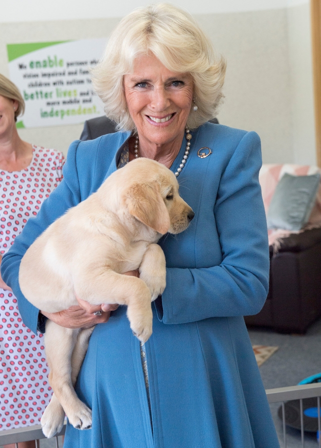 The Duchess of Cornwall holds an eight-week-old Labrador puppy named Gretel during her visit to the National Guide Dogs Training Centre in Cork