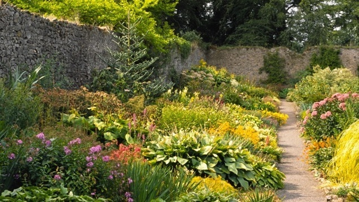 Shackleton Gardens Clonsilla