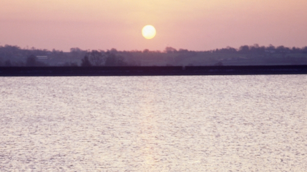 Moving to a Remote Island: 'If you're sort of into boxsets and co