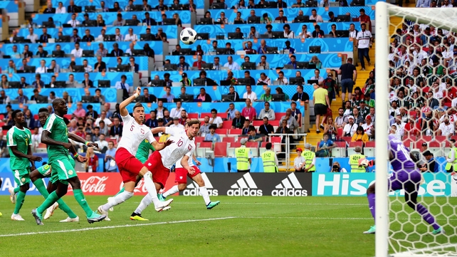 Grzegorz Krychowiak of Poland scores what proved to be a consolation goal