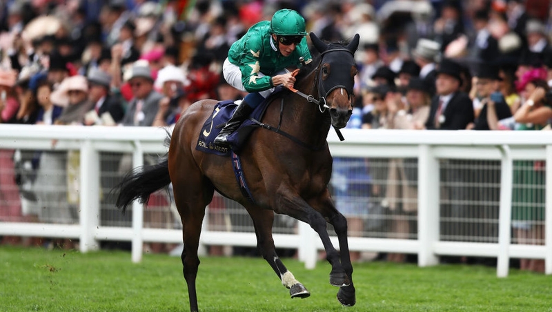Aljazzi could go in the Coolmore Fastnet Rock Matron Stakes