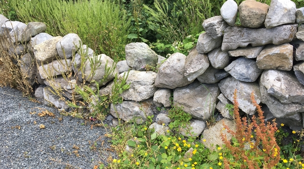 Éist le Ballaí Cloch le Art Ó Súilleabháin