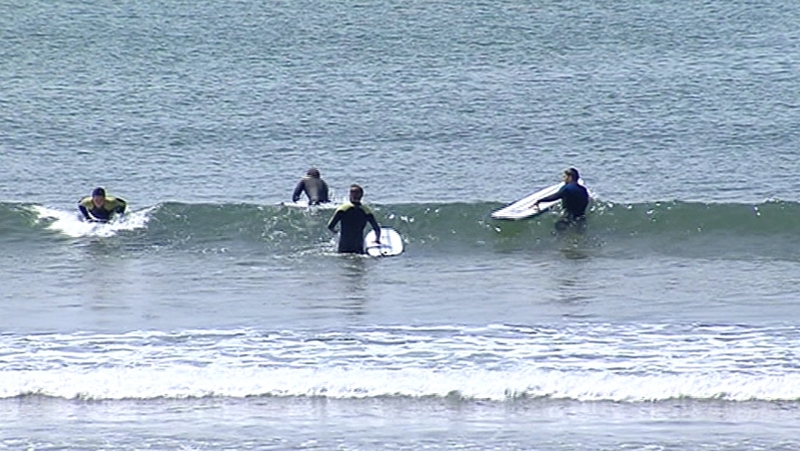 Last year's long hot summer meant fewer heavy downpours and less pollution washed onto beaches