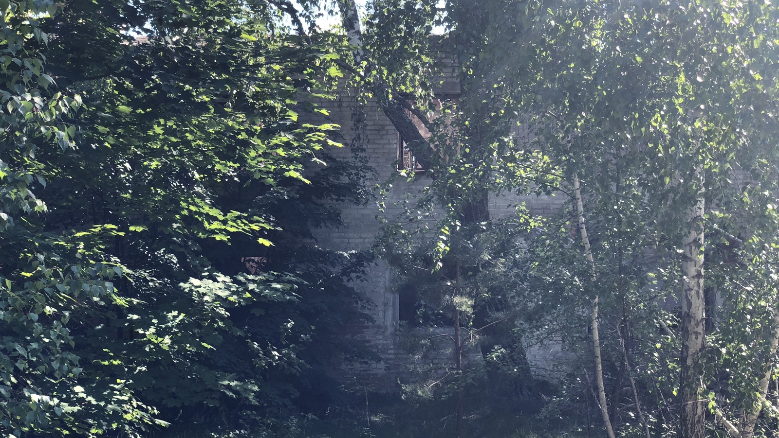 An abandoned house buried in the forest that has grown up where Bartholomevka town once stood