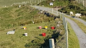 Clár #251: Bólas show image