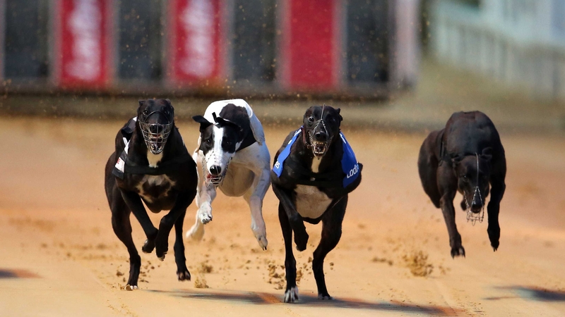 Animal welfare has seen changes made