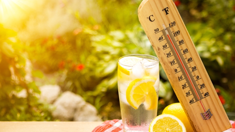 The funniest tweets of Ireland's #heatwave so far