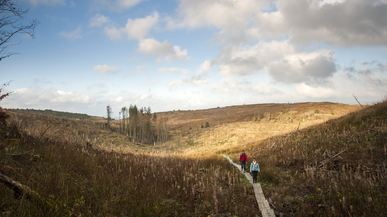 Experience the magical terrain of Ireland's Hidden Heartlands
