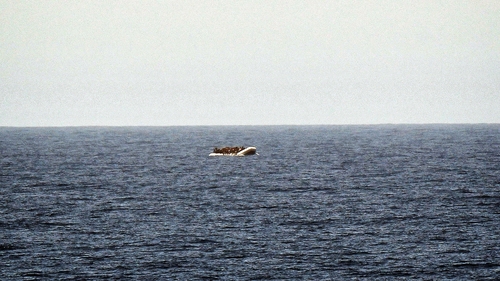 Thousands of people make the journey across the Mediterranean each week (file pic)