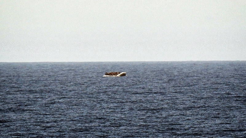 Thousands of people make the journey across the Mediterranean each week (file pic)