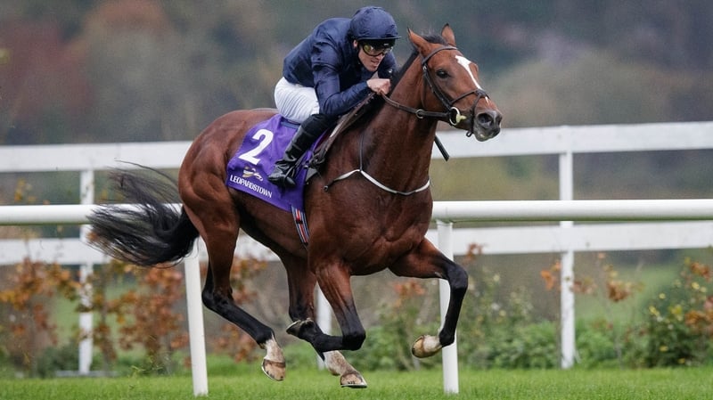Flag Of Honour will be saddled by Seamie Heffernan