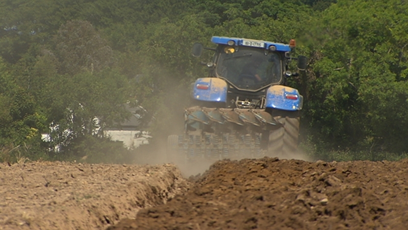 Farmers say lands are being 'toasted' due to the continuing high temperatures