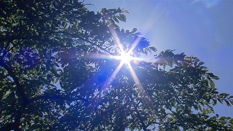 SSE said its UK and Ireland energy customer accounts stood at 7.45 million as at June, down from 7.77 million a year earlier