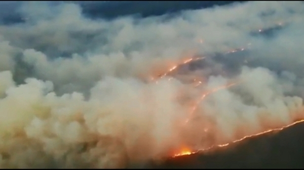 The statement says that a combination of high temperatures and moderate winds have increased the threat of fires (File image)