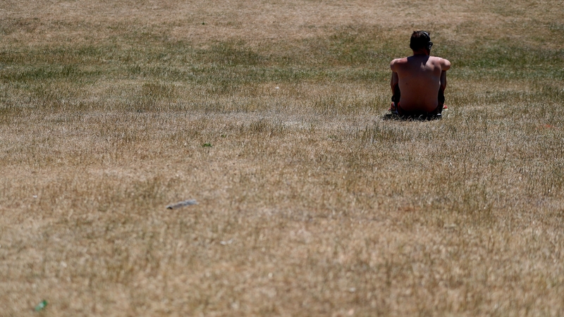 Dried grass in Phoenix Park during a heatwave in summer 2018 - the report ranks Ireland last out of 15 EU countries for progress on its environmental goals