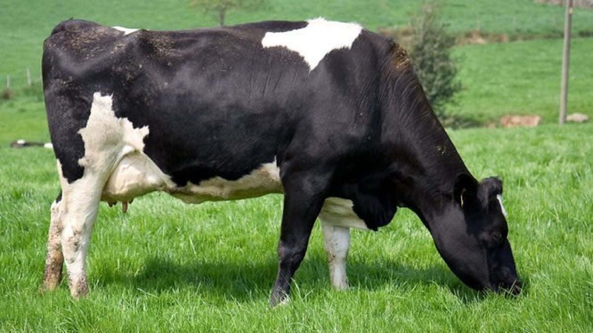 Government pledges commitment to protecting farming sector