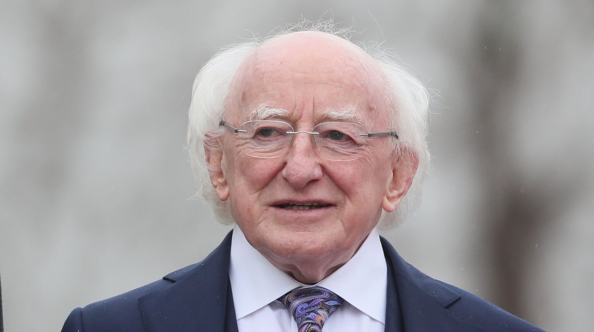Michael D Higgins' criticism of NATO provokes strong reaction from defence experts