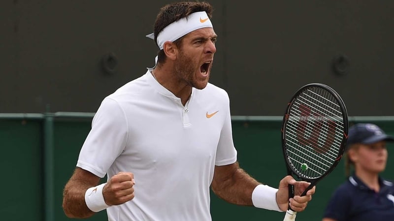 Juan Martin del Potro is in to the last eight