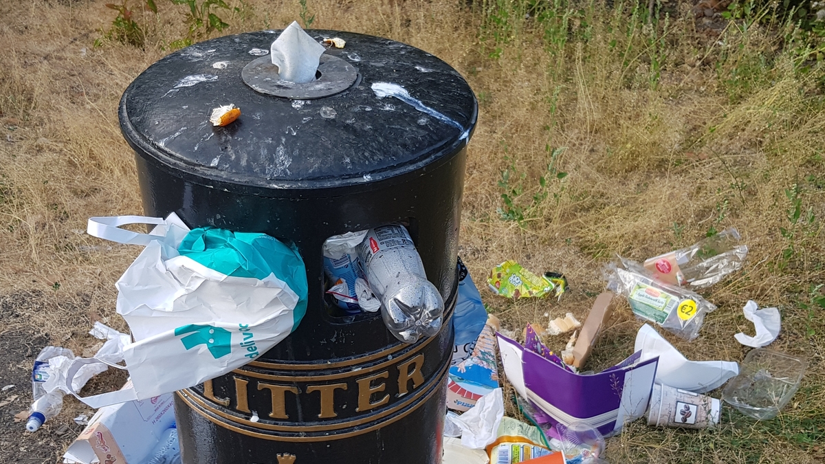 Why do People Litter?