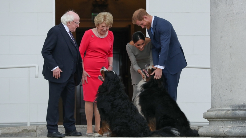 Prince Harry and Meghan Markle meet the President's dogs, Bród and Síoda