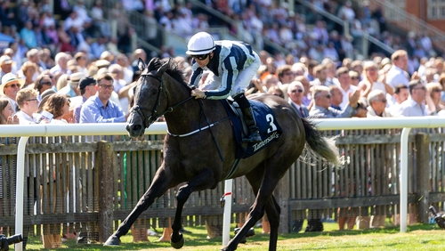 Colm O'Donoghue and Alpha Centauri took the day two feature at Nemarket