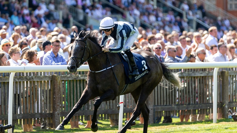 Colm O'Donoghue and Alpha Centauri took the day two feature at Nemarket