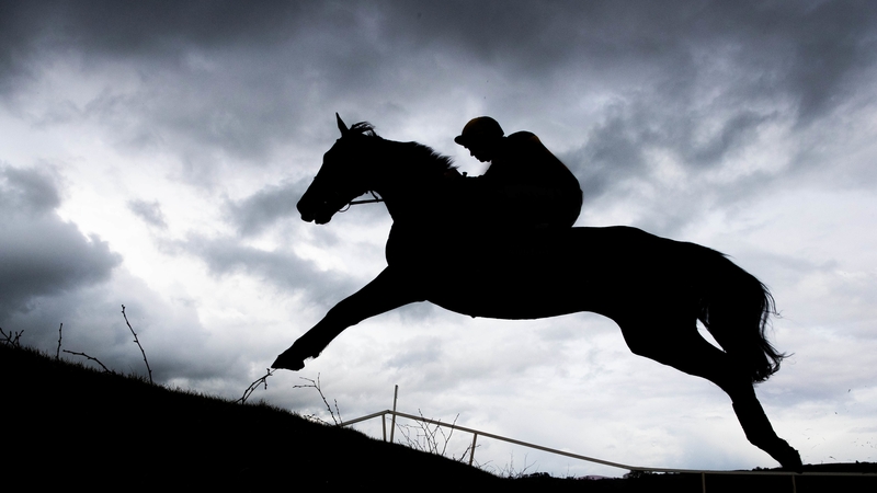 'She was a wonderful, wonderful person and she passed away with dignity.'