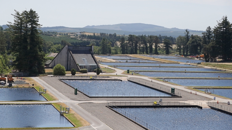 The survey found that 65% of people had made a 'concerted effort' to conserve water