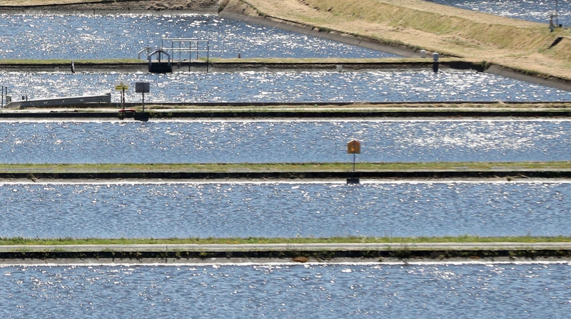 Extreme weather 'has underlined the lack of resilience in our water system'