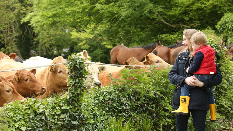 Alma and Eamon have a busy week on the farm for #FarmSafetyWeek